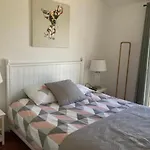 Les Chenes Les Restanques Du Golfe De St Tropez * Grimaud